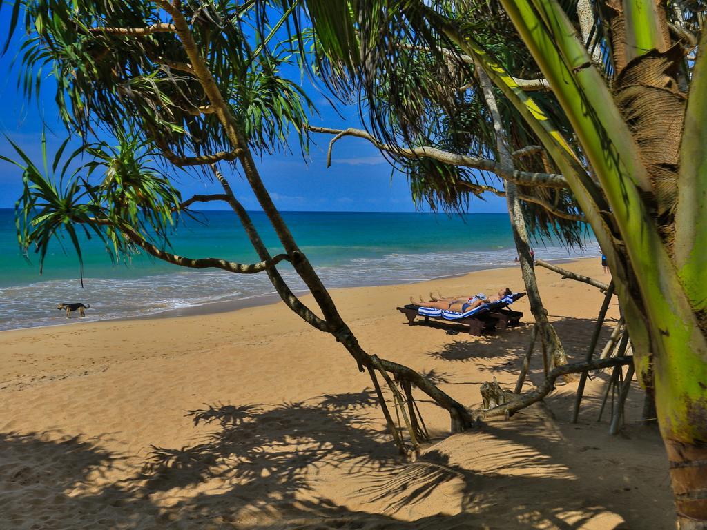 Thejan Beach Cabanas Bentota Eksteriør bilde