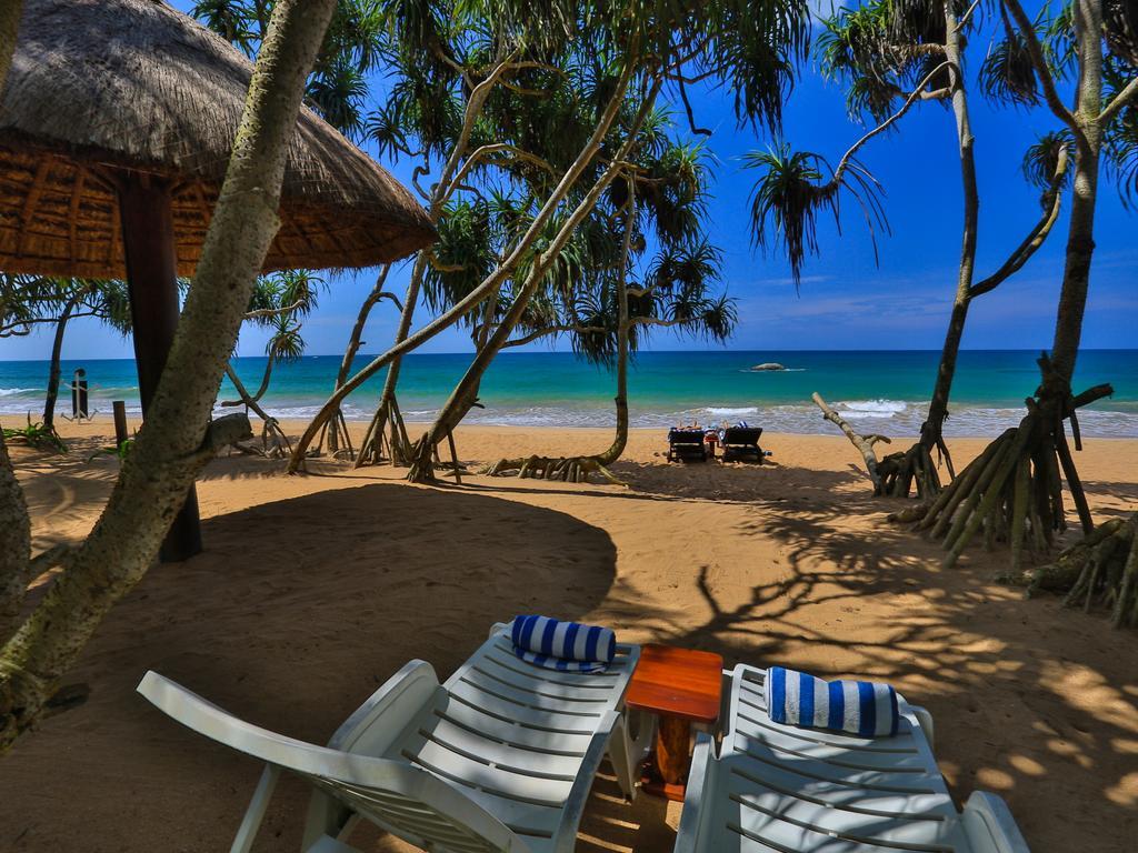 Thejan Beach Cabanas Bentota Eksteriør bilde