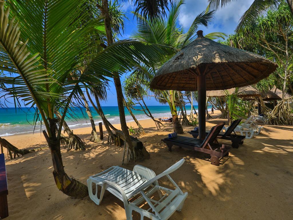 Thejan Beach Cabanas Bentota Eksteriør bilde
