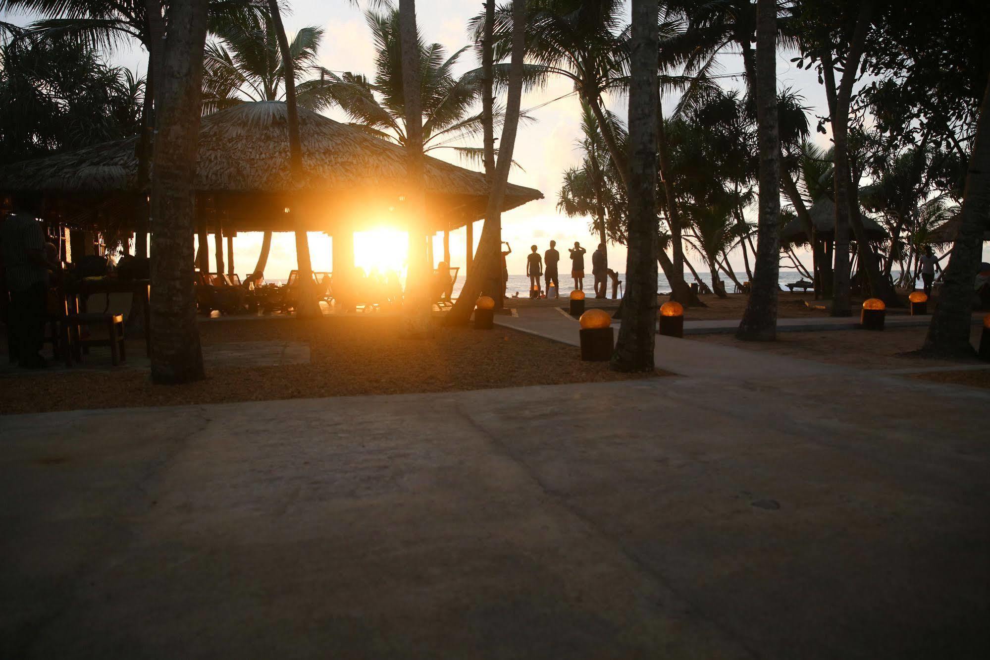 Thejan Beach Cabanas Bentota Eksteriør bilde